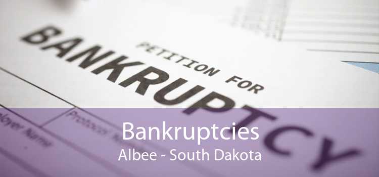 Bankruptcies Albee - South Dakota