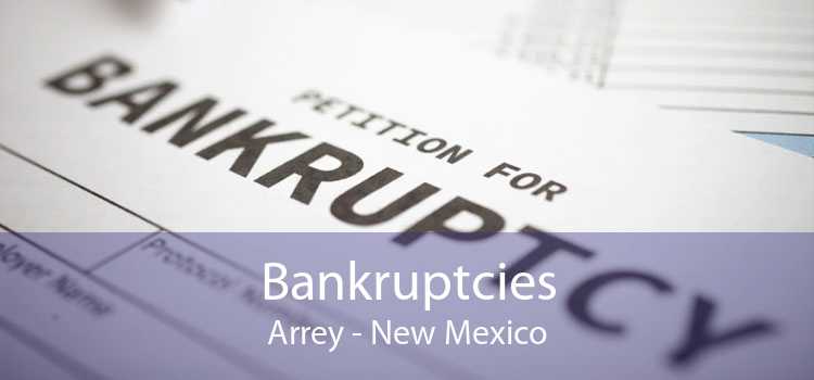 Bankruptcies Arrey - New Mexico
