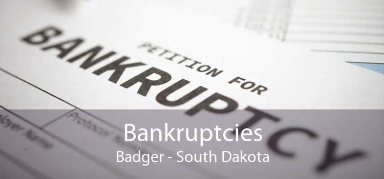 Bankruptcies Badger - South Dakota