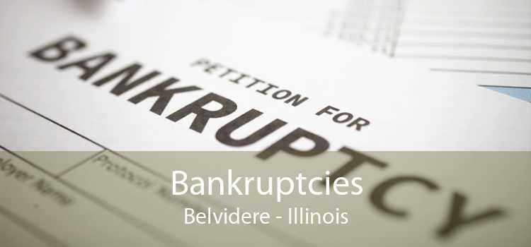 Bankruptcies Belvidere - Illinois