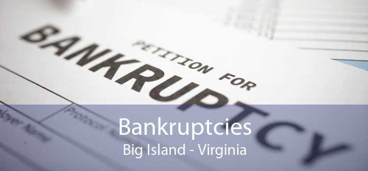 Bankruptcies Big Island - Virginia