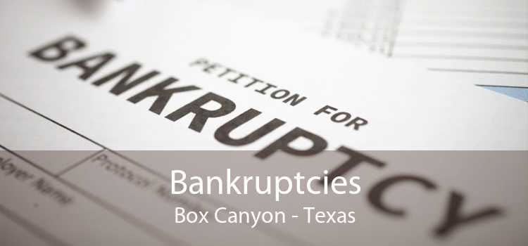 Bankruptcies Box Canyon - Texas