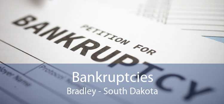 Bankruptcies Bradley - South Dakota
