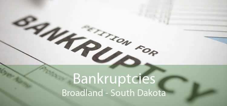 Bankruptcies Broadland - South Dakota