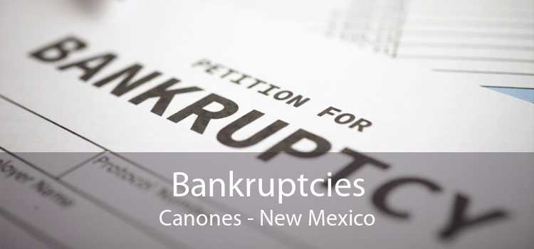 Bankruptcies Canones - New Mexico