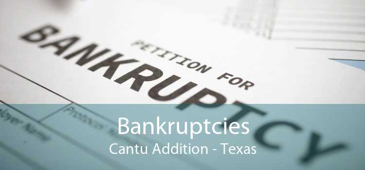 Bankruptcies Cantu Addition - Texas