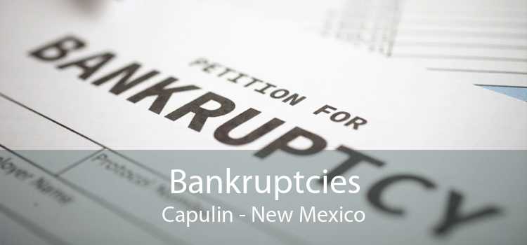 Bankruptcies Capulin - New Mexico