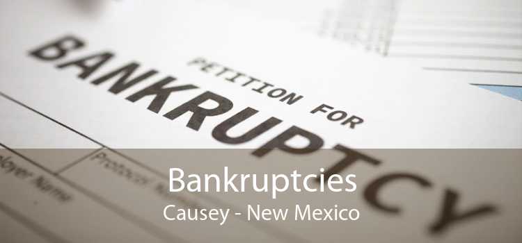 Bankruptcies Causey - New Mexico