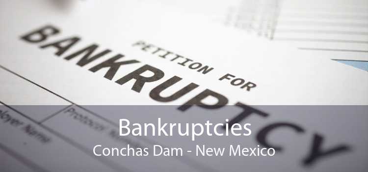 Bankruptcies Conchas Dam - New Mexico