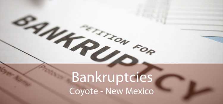 Bankruptcies Coyote - New Mexico