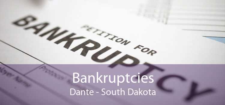 Bankruptcies Dante - South Dakota