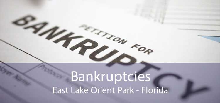 Bankruptcies East Lake Orient Park - Florida