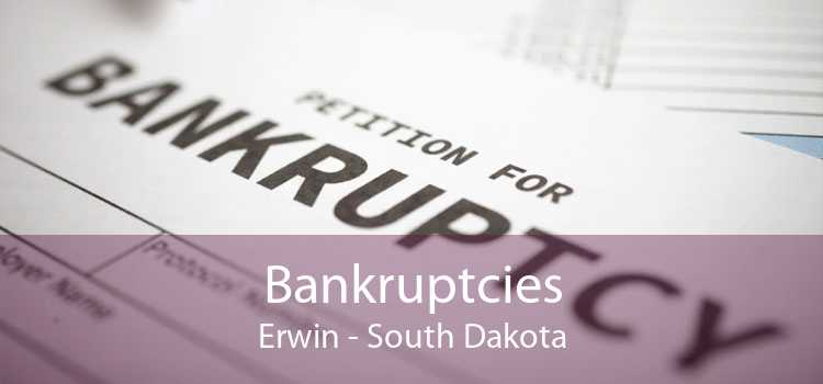 Bankruptcies Erwin - South Dakota