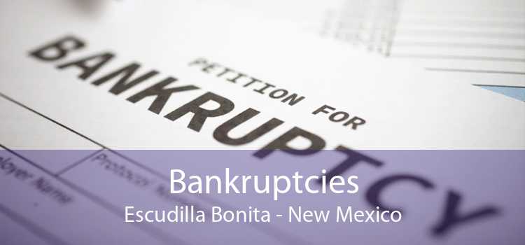 Bankruptcies Escudilla Bonita - New Mexico