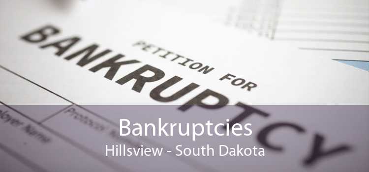 Bankruptcies Hillsview - South Dakota