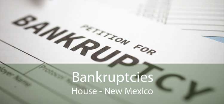 Bankruptcies House - New Mexico