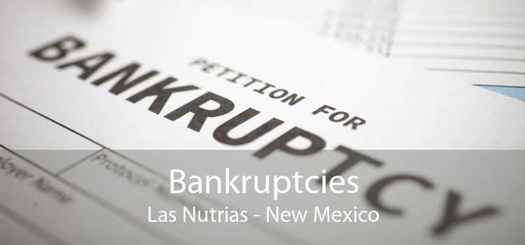 Bankruptcies Las Nutrias - New Mexico