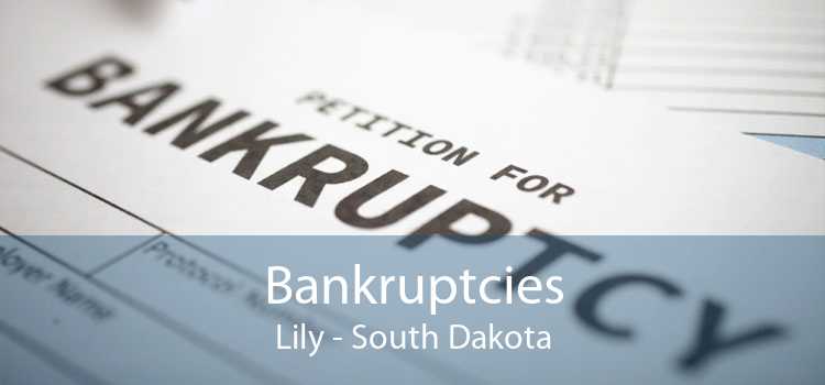 Bankruptcies Lily - South Dakota
