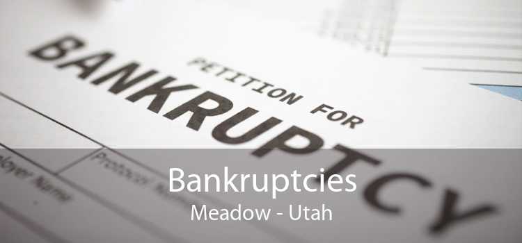 Bankruptcies Meadow - Utah