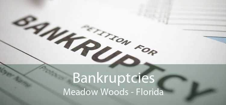 Bankruptcies Meadow Woods - Florida