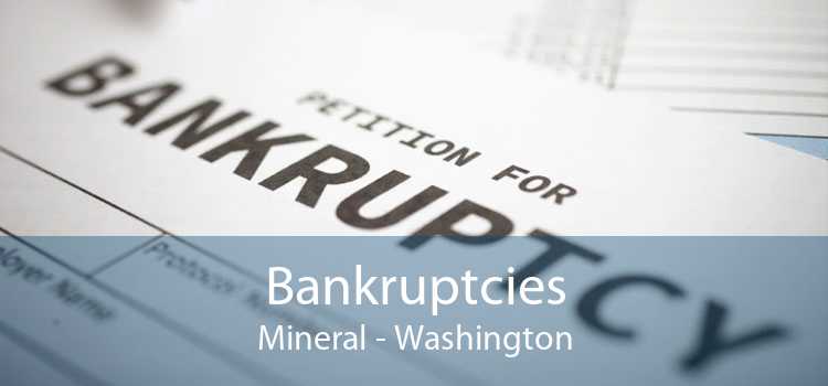 Bankruptcies Mineral - Washington