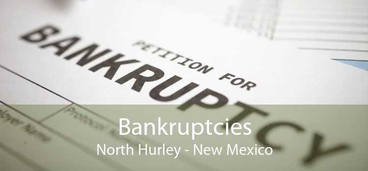 Bankruptcies North Hurley - New Mexico