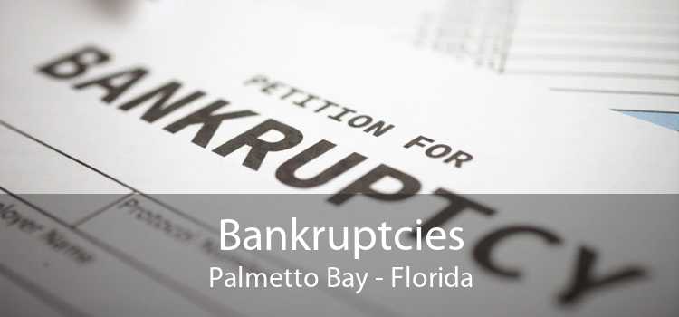 Bankruptcies Palmetto Bay - Florida