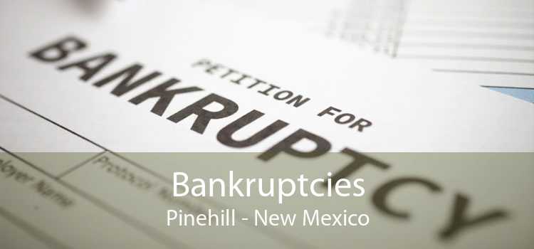Bankruptcies Pinehill - New Mexico