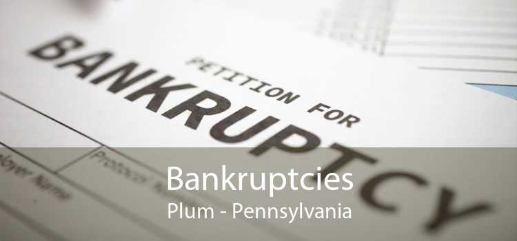 Bankruptcies Plum - Pennsylvania