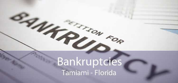 Bankruptcies Tamiami - Florida