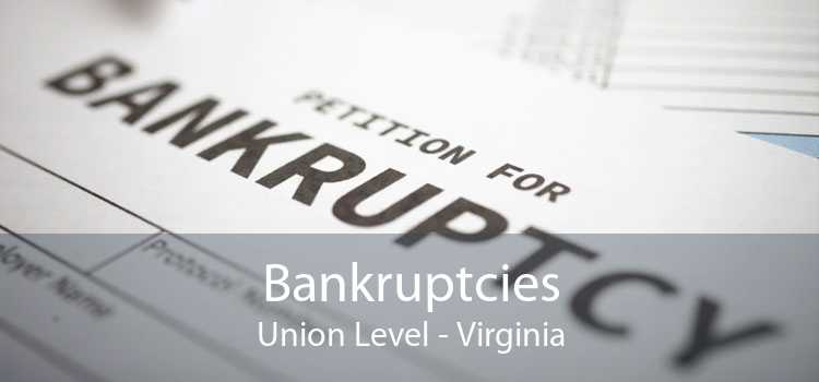 Bankruptcies Union Level - Virginia
