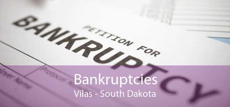 Bankruptcies Vilas - South Dakota