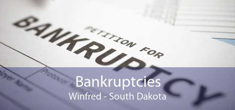 Bankruptcies Winfred - South Dakota