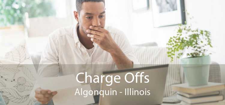 Charge Offs Algonquin - Illinois