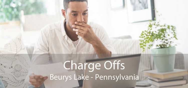 Charge Offs Beurys Lake - Pennsylvania