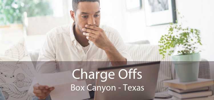 Charge Offs Box Canyon - Texas
