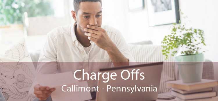 Charge Offs Callimont - Pennsylvania