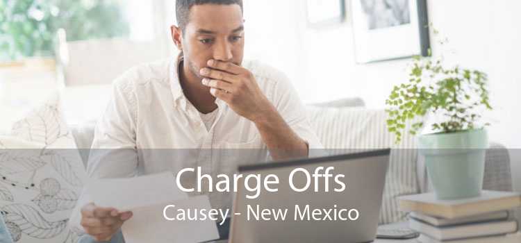 Charge Offs Causey - New Mexico