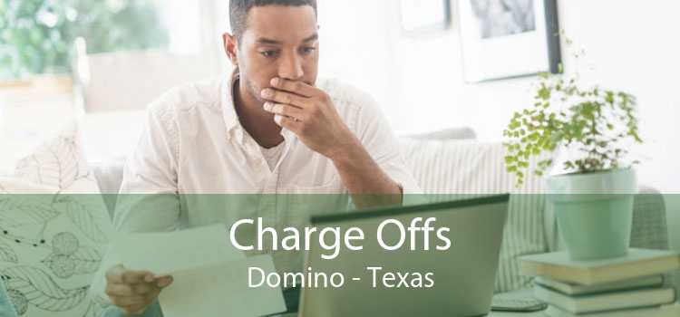 Charge Offs Domino - Texas