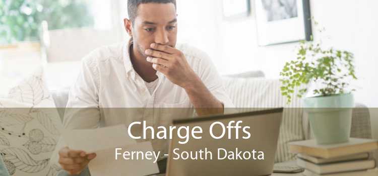 Charge Offs Ferney - South Dakota