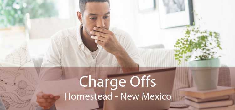 Charge Offs Homestead - New Mexico