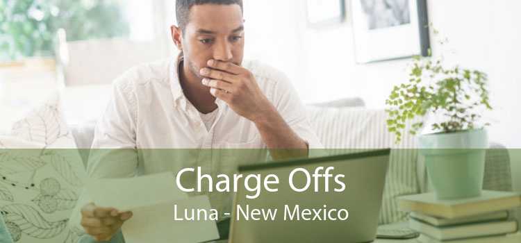 Charge Offs Luna - New Mexico