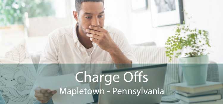 Charge Offs Mapletown - Pennsylvania