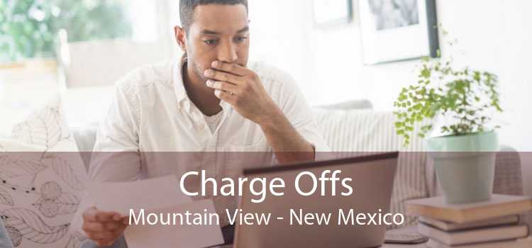 Charge Offs Mountain View - New Mexico