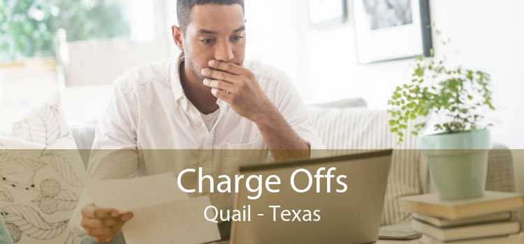 Charge Offs Quail - Texas