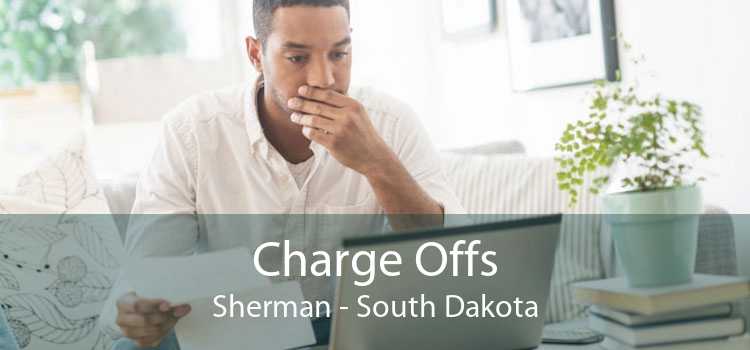 Charge Offs Sherman - South Dakota