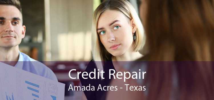 Credit Repair Amada Acres - Texas