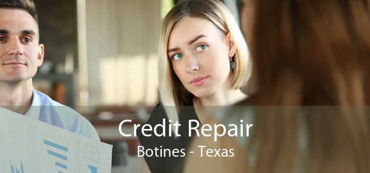 Credit Repair Botines - Texas