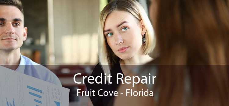 Credit Repair Fruit Cove - Florida