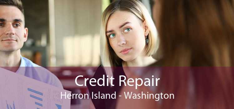 Credit Repair Herron Island - Washington